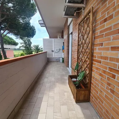 Casa Panda